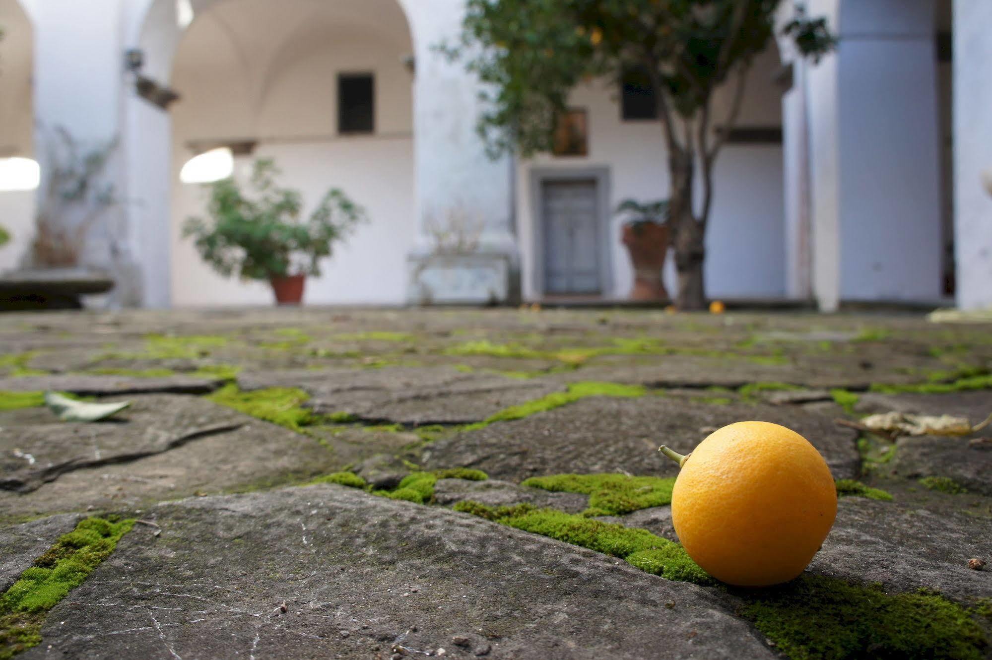 San Francesco Relais Bed & Breakfast Massa Lubrense Dış mekan fotoğraf